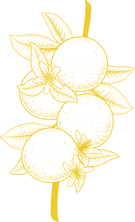 Botanical strain illustration